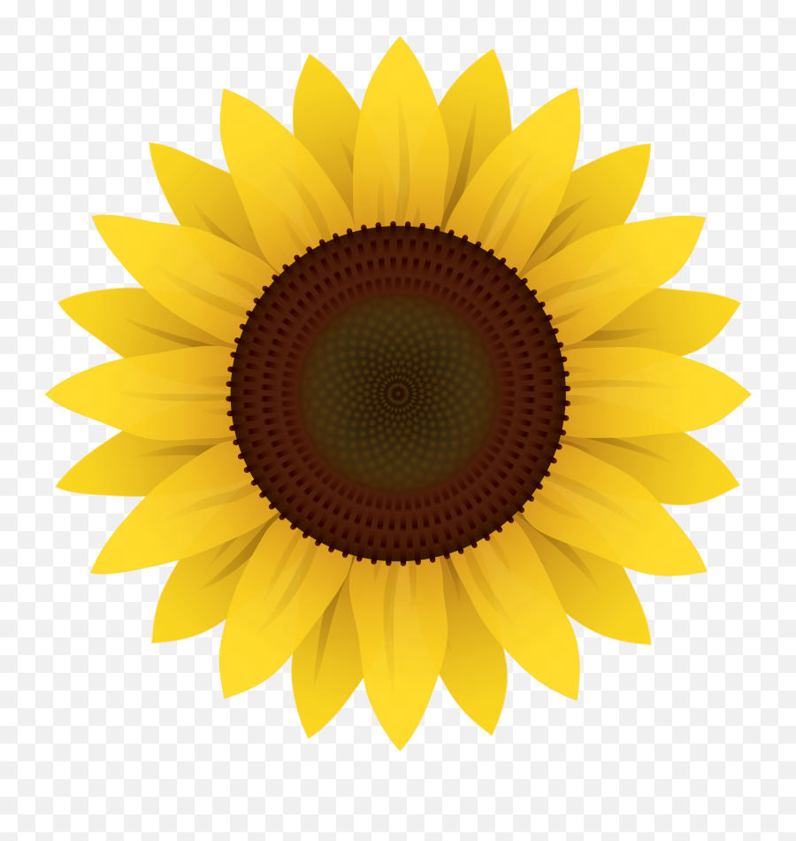 Sunflower Vector Png Image Emoji,Sunflower Clipart Png
