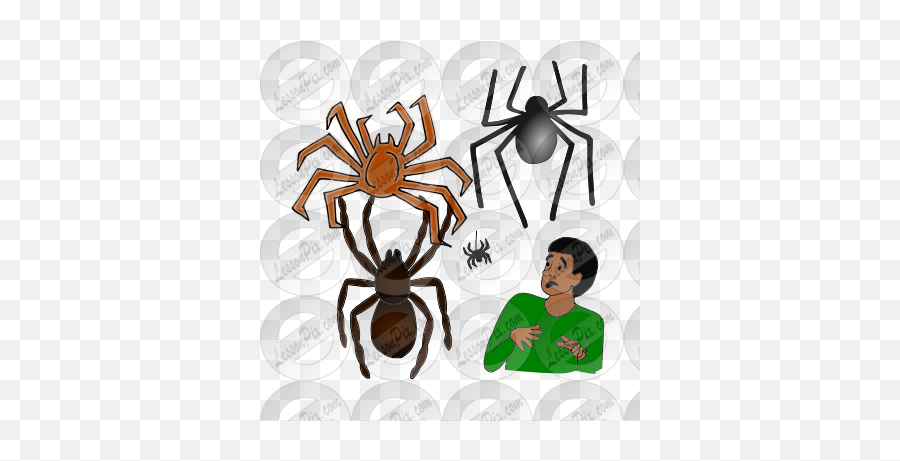 More Spiders Picture For Classroom - Widow Spiders Emoji,Spiders Clipart