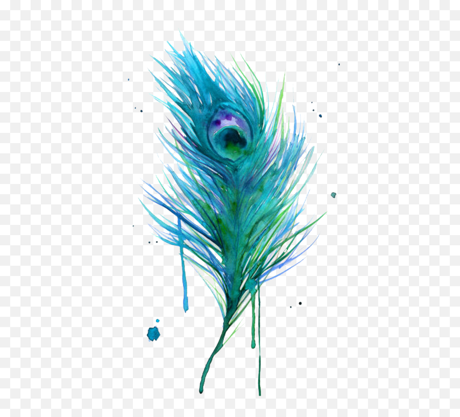 Asiatic Peafowl Feather Bird Clip Art - Peacock Feather Watercolor Emoji,Peacock Feather Png