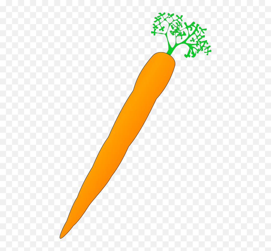 Download Carrot Nose Vegetable Drawing - Long Carrot Clip Art Emoji,Carrot Transparent Background