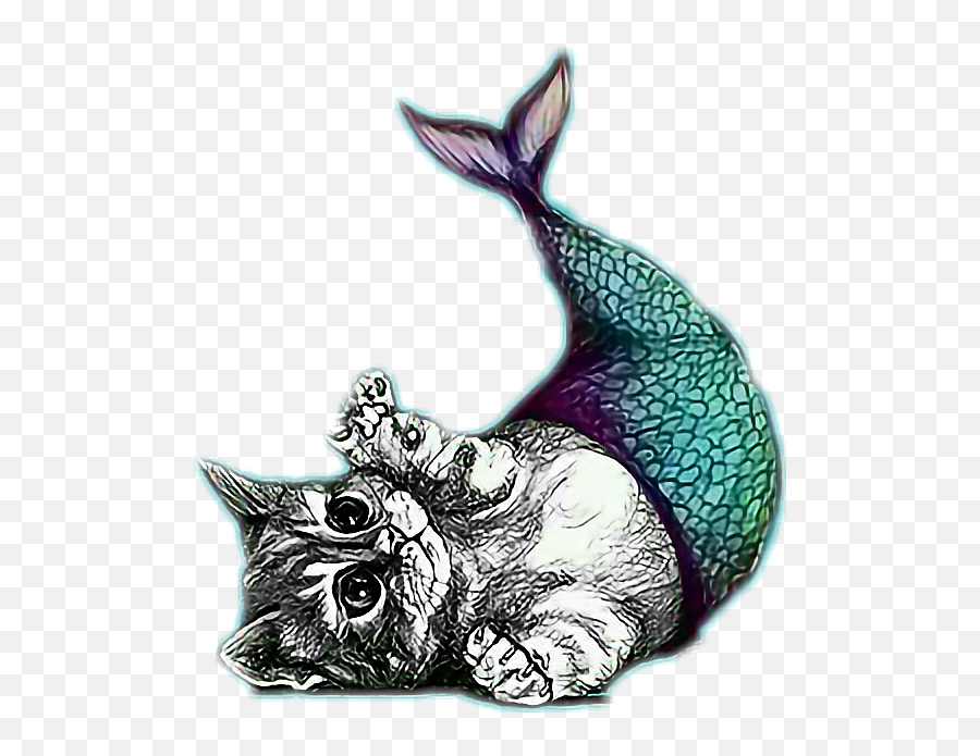 Sticker - Cute Mermaid Cat Transparent Cartoon Jingfm Kitty How To Draw A Purrmaid Emoji,Cat Fish Clipart