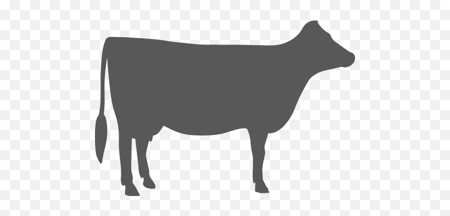 Home Arm U0026 Hammer Animal Nutrition - Clipart Best Cow Silhouette Clipart Emoji,Nutrition Clipart
