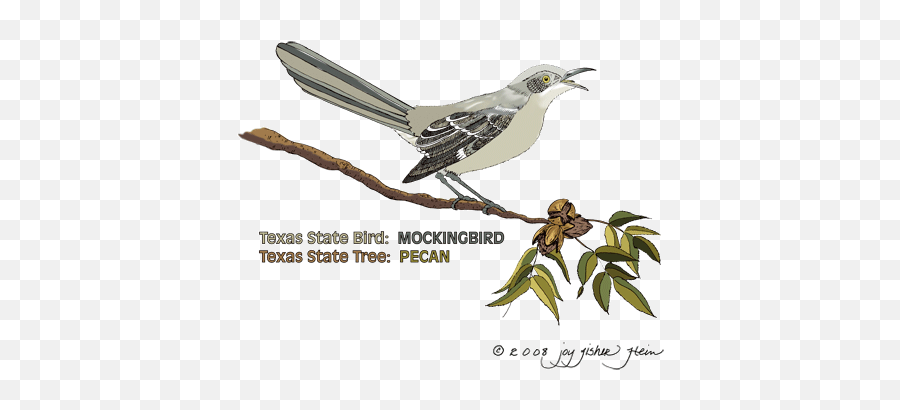 Libraries Deep In The Heart Of Texas Tslac Emoji,Heart Tree Clipart