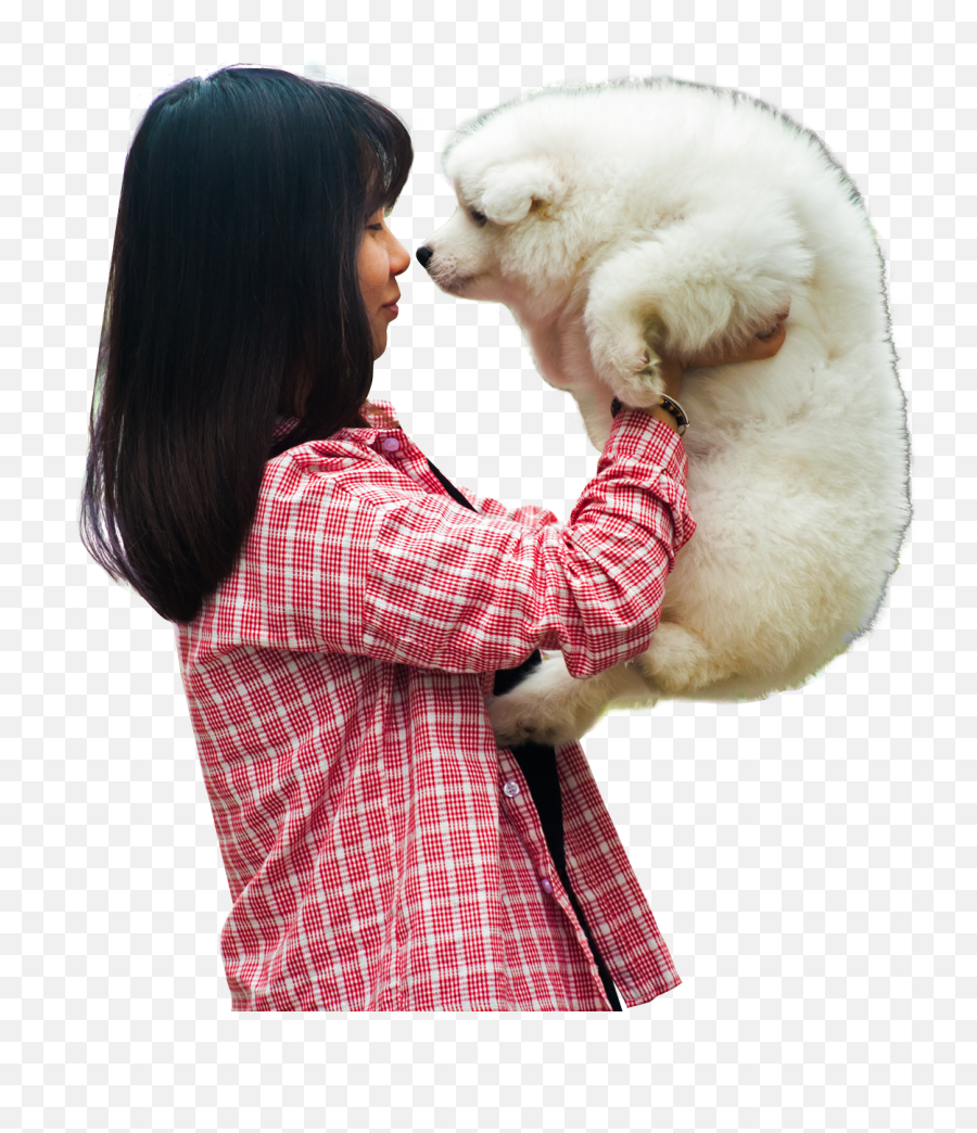 Woman Playing With A Puppy Dog Png Emoji,Puppy Png