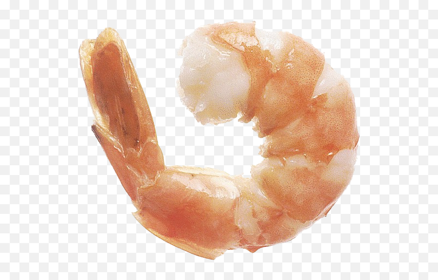 Pink Shrimp - One Shrimp Emoji,Shrimp Png