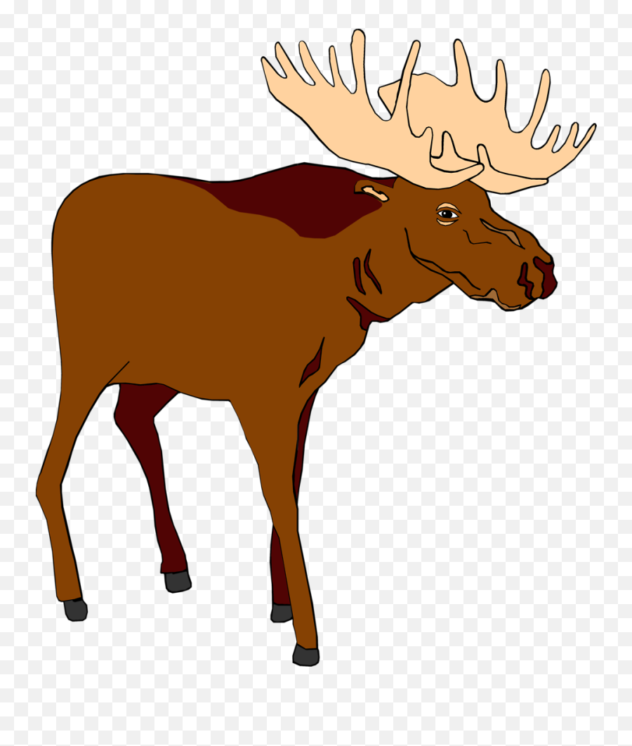 Moose Png Image - Moose Clip Art Emoji,Moose Png