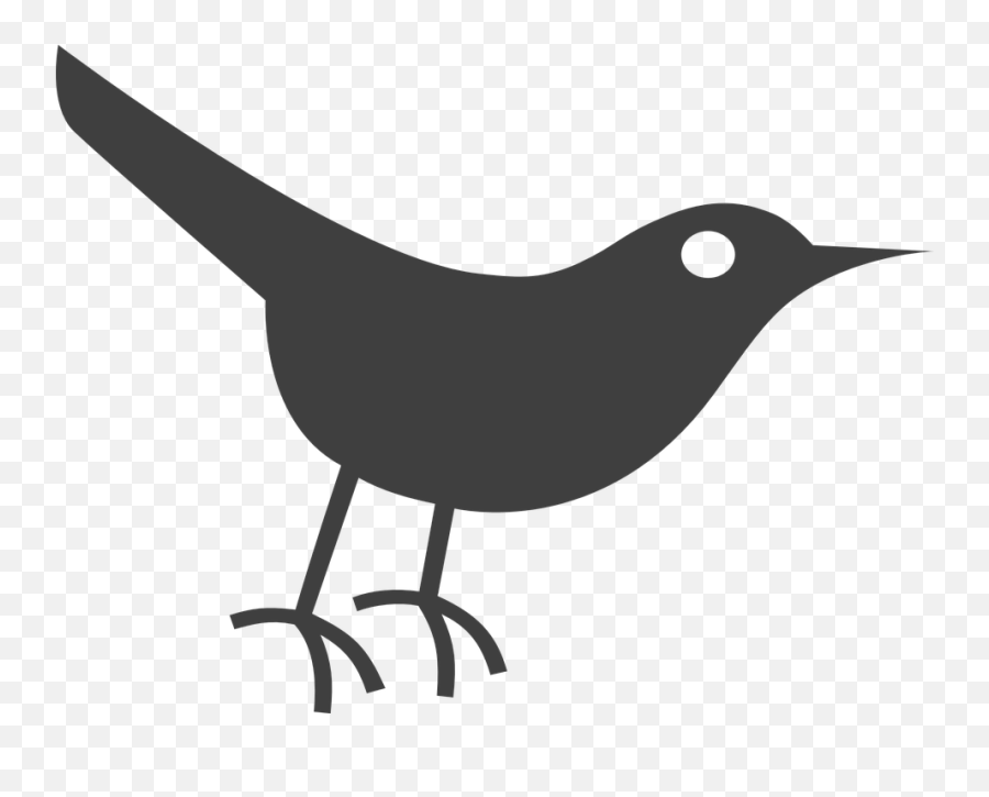 Download Twitter Bird Icon Emoji,Twitter Bird Transparent