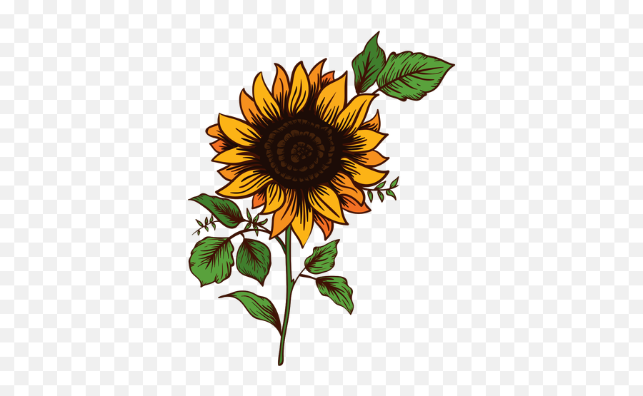 Sunflower Aesthetic Drawing - Drawing Clipart Sunflower Emoji,Sunflower Png