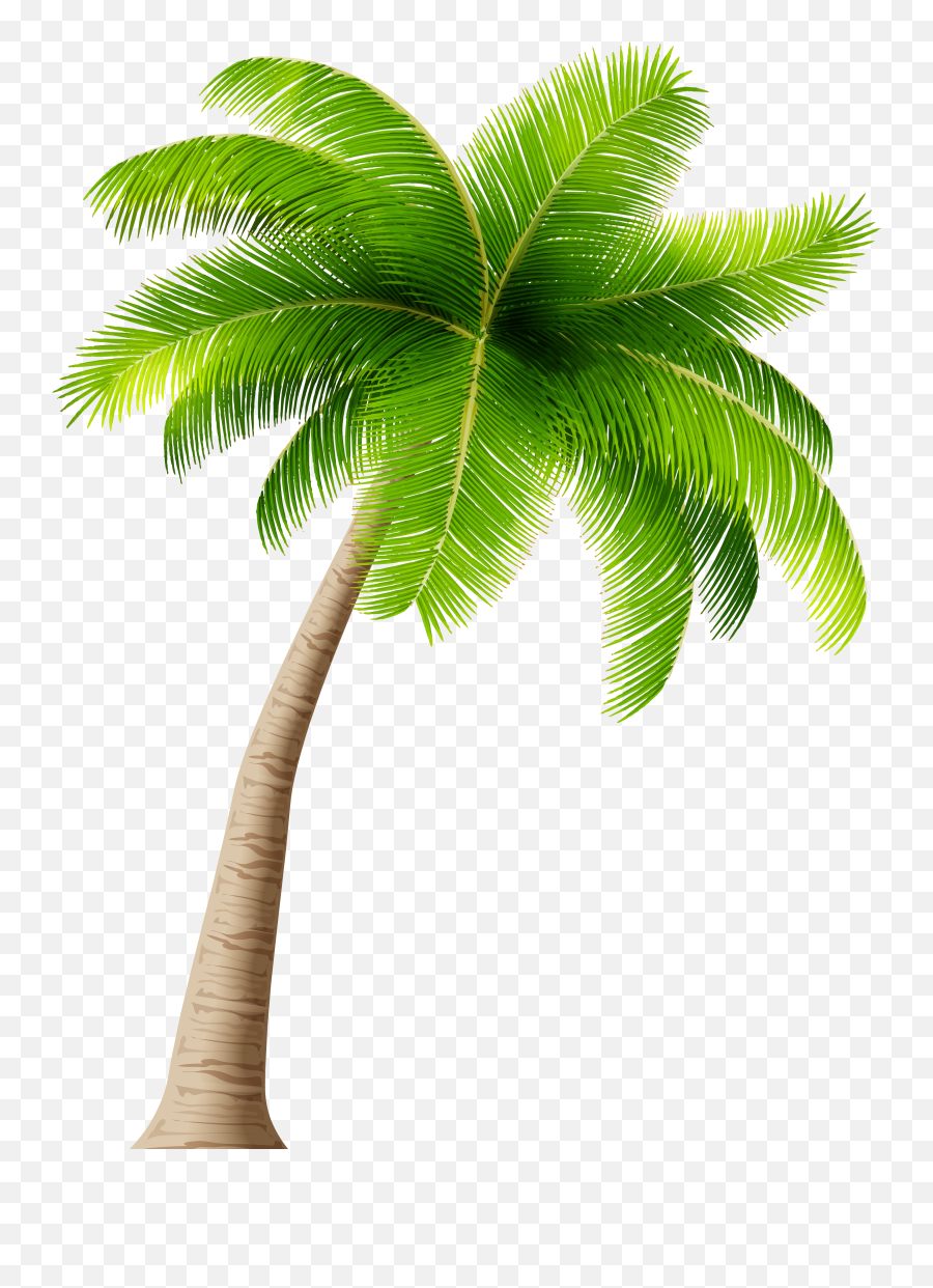 Palm Tree Png - Coconut Tree Clipart Png Transparent Transparent Background Coconut Tree Clipart Emoji,Tree Clipart