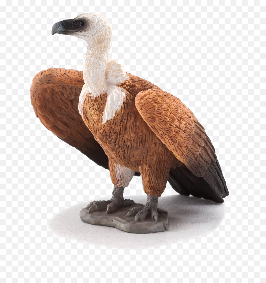 Animal Planet Griffon Vulture - Elephanta Elephanta Emoji,Vulture Png