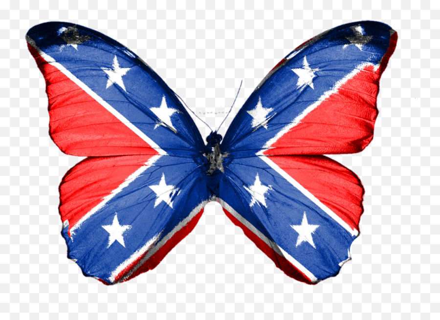 Butterfly Confederate South Rebel Insect - Confederate Emoji,Confederate Flag Clipart