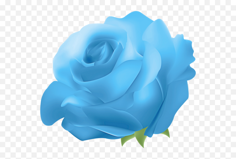 Rose Blue Blue Rose For Valentines Day - 3000x2641 Emoji,Blue Rose Transparent