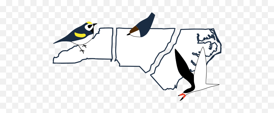 Front Page - North Carolina Birding Trail North Carolina Nc Birds Emoji,North Carolina Logo