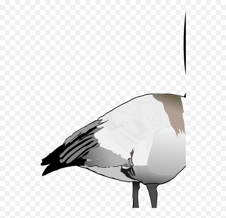 Canadian Goose Svg Vector Canadian Goose Clip Art - Svg Clipart Shorebirds Emoji,Goose Clipart