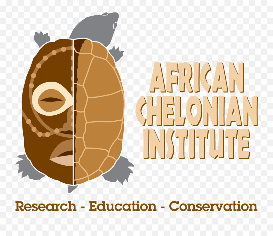 African Chelonian Institute - Blog African Chelonian Institute African Chelonian Institute Emoji,Aci Logo