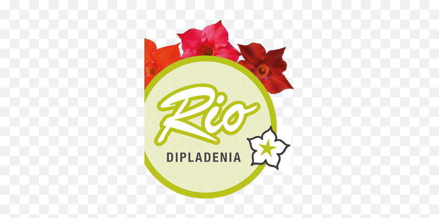 Rio Dipladenia - Floral Emoji,Rio Logo