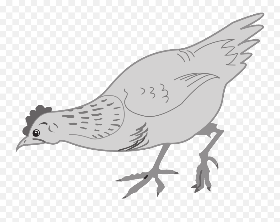 Grayscale Chicken Eating Svg Vector Grayscale Chicken - Chicken Eating Drawing Emoji,Eating Clipart