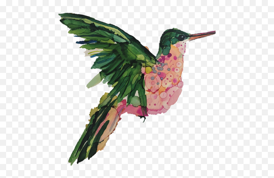 Highflying Hummingbirds Organic Cotton Emoji,Swaddled Baby Clipart