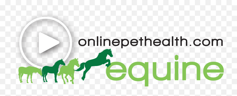 Sales Equine 1usd 30day Trial Onlinepethealth - Shopladder Emoji,48 Hour Logo