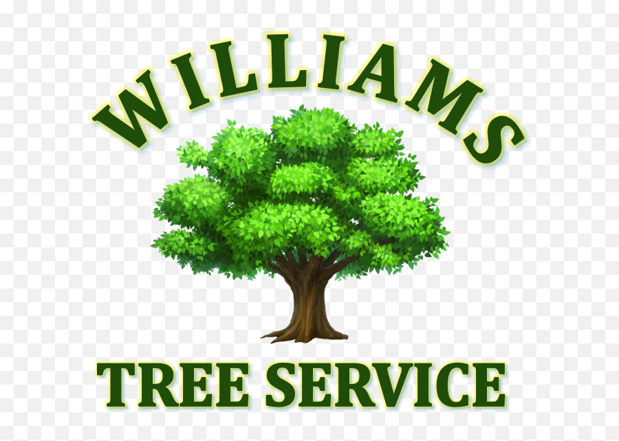 Williams Tree Service Tree Removal Tree Trimming - Language Emoji,Tree Service Logo