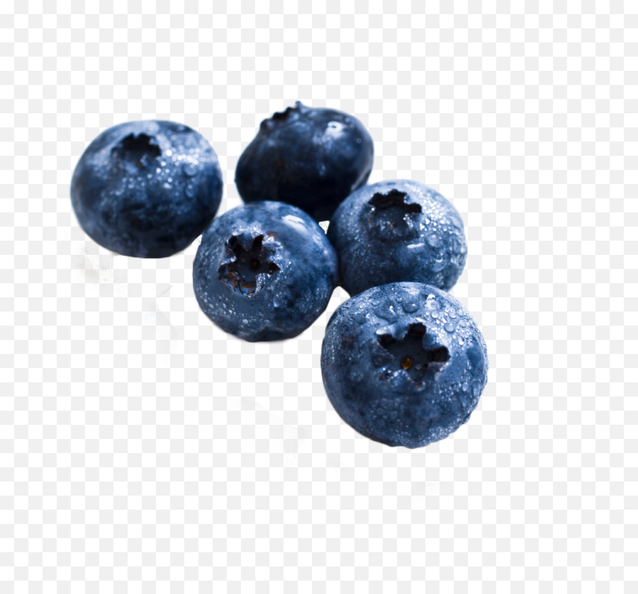 Blueberry Png Image - Purepng Free Transparent Cc0 Png Blueberry Png Emoji,Blueberry Png