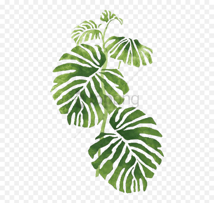 Free Png Transparent Tropical Png Image - Jungle Stencil Emoji,Tropical Png