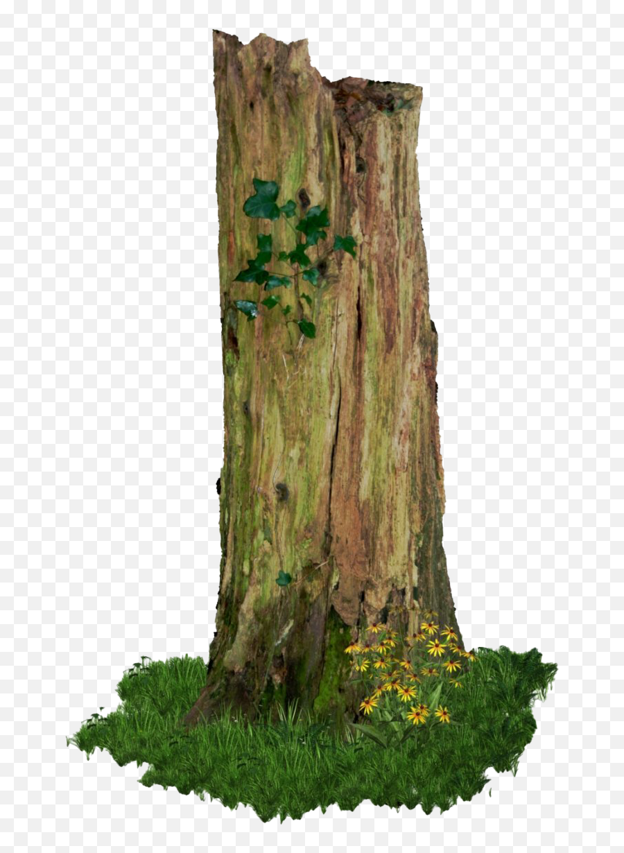 Stump Tree Trunk Png File Transparent Png Image - Pngnice Emoji,Tree Stump Clipart Black And White