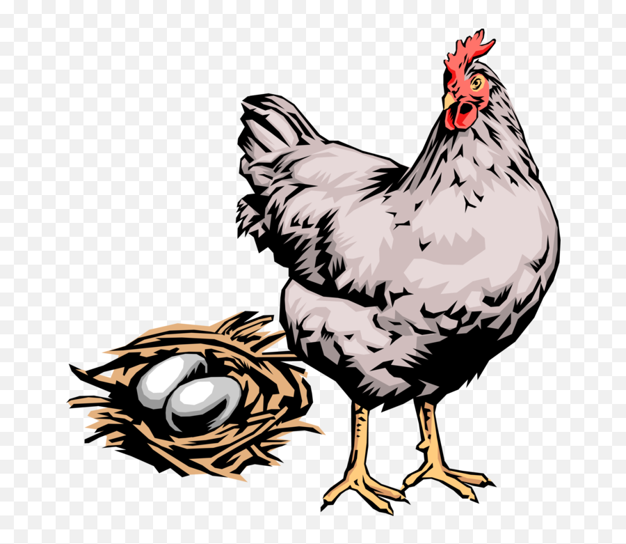 Hen Chicken With Eggs In Nest - Vector Image Emoji,Chicken Egg Clipart