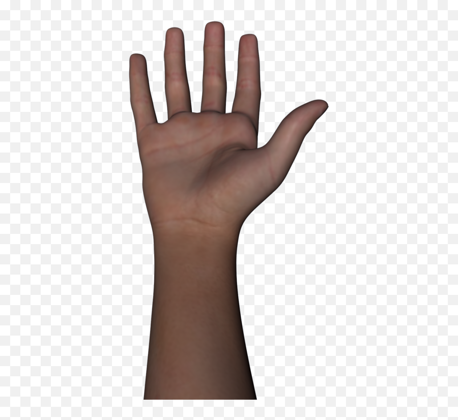 3d Hand Transparent Png Clipart - Full Hand Body Part Emoji,Hand Transparent