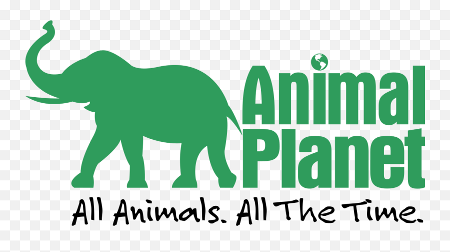 Animal Planet Ait Donkey Schelle - Price Sln Media Group Animal Figure Emoji,Animal Planet Logo