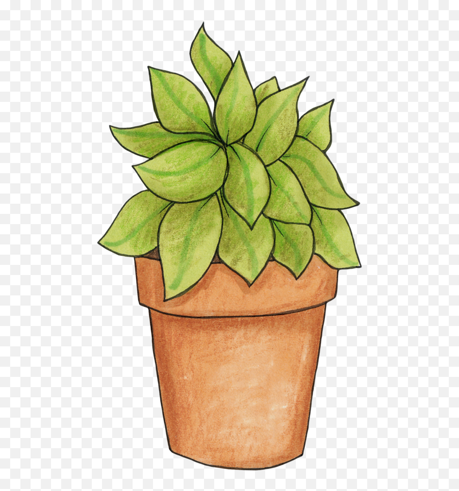 Potted Plant - Pot Plant Clip Art Png Download Full Size Succulents In Pots Clip Art Emoji,Greenery Clipart