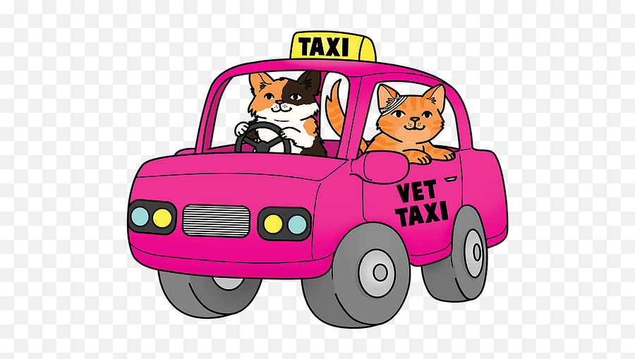 Vet Taxi Service All The Cats Auckland Region - Happy Emoji,Veterinarian Clipart