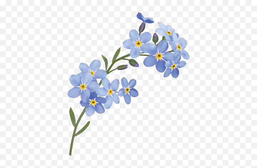 Forgetmenot - Forget Me Not Flowers Drawing Emoji,Forget Me Not Flowers Clipart