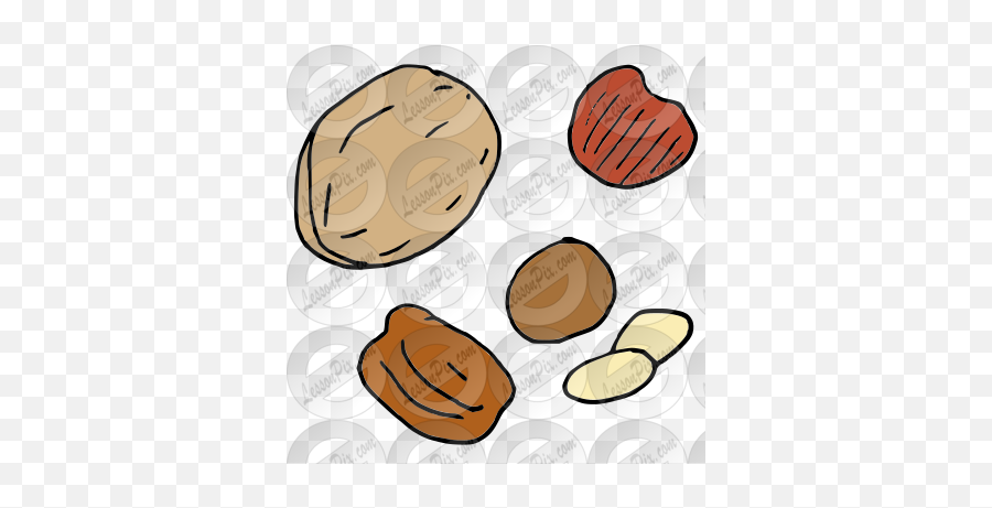 Tree Nut Picture For Classroom - Pecan Emoji,Nut Clipart