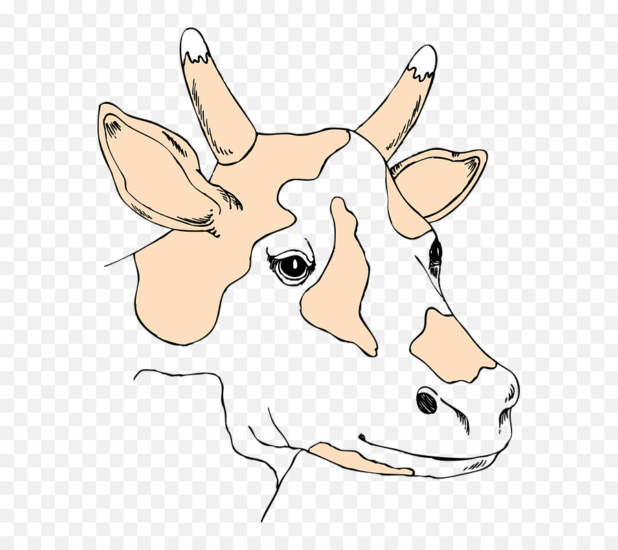 Light Colored Cow Head Clip Art At Clkercom - Vector Clip Colouring Picture Of A Head Of A Cow Emoji,Cow Skull Clipart