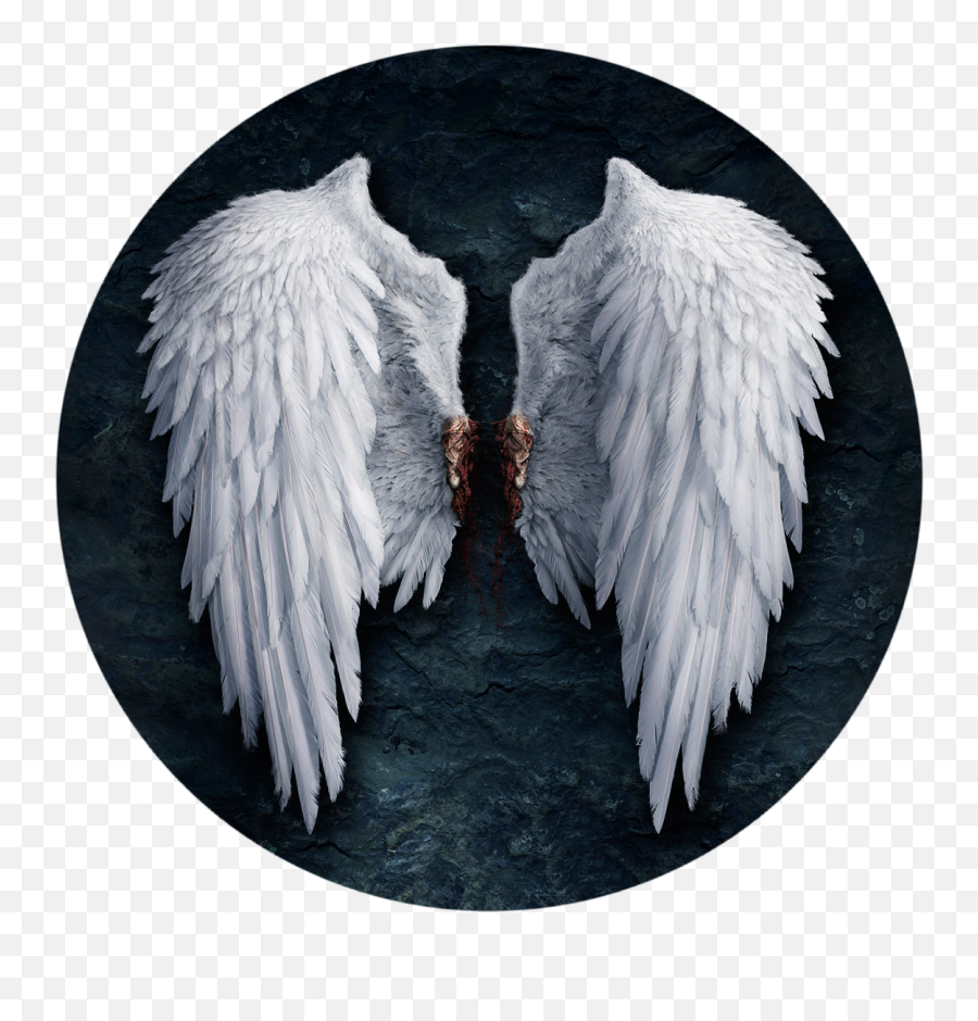 Download Feather Lucifer Castiel Angel - Golden Gate Park Emoji,Angel Wings Logo