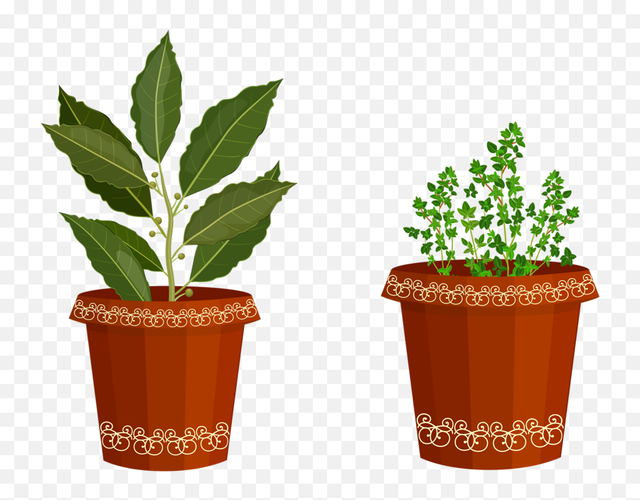 Herb Garden Clipart Cliparthut Free Clipart - Spice Potted Onion Plant Clipart Emoji,Garden Clipart