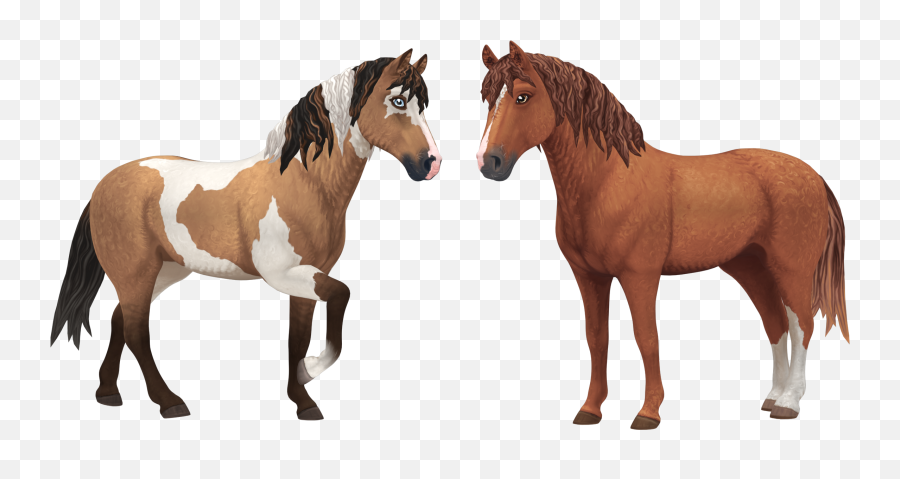 Download Free Fan Art Resources Star Stable - Buckskin Curly Horse Sso Emoji,Mustang Logo Wallpapers