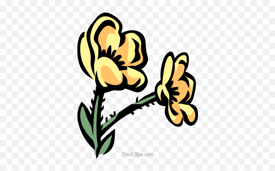 Buttercup Royalty Free Vector Clip Art Illustration Emoji,Buttercup Png