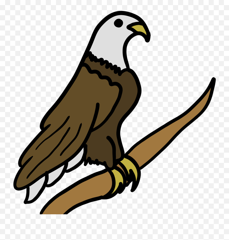 Godu0027s Creation Eagle Bird - Free Image On Pixabay Emoji,God's Love Clipart