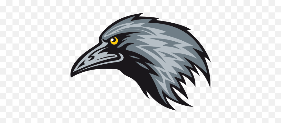 Download Crow Clipart Crow Head - Head Crow Logo Vector Emoji,Crow Clipart