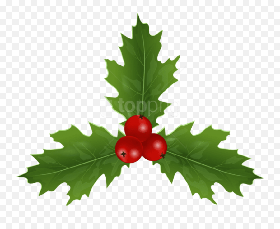 Christmas Holly Mistletoe Png - Clip Art Emoji,Holly Clipart