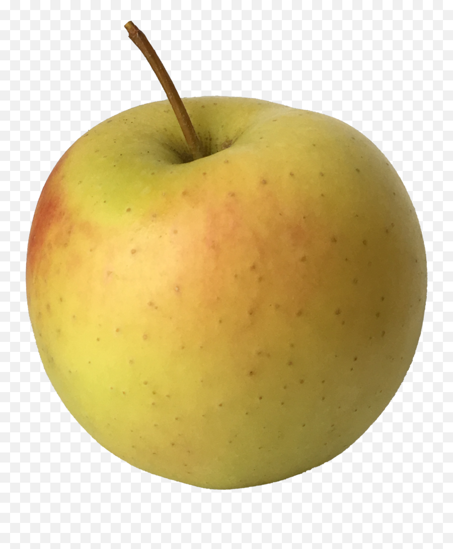 Our Lovely Apples Champlain Orchards Emoji,Yellow Transparent Apple