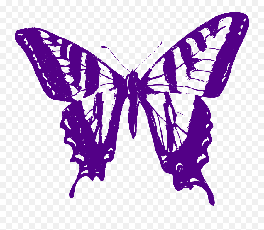 Big Image Emoji,Butterfly Outline Png