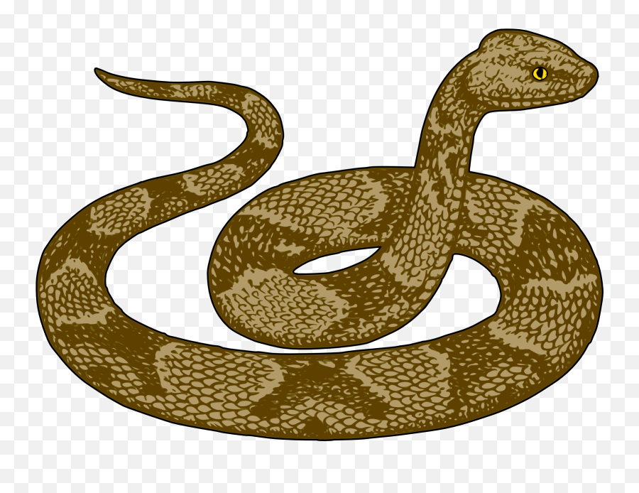 Desert Snake Clipart - Desert Snake Clipart Emoji,Snake Clipart