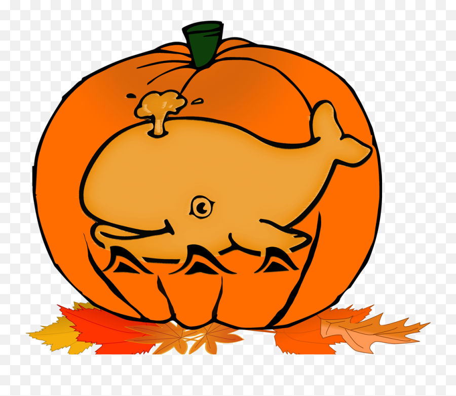 Pumpkin Clip Fall Festival - Black And White Whale Clipart Outline Blue Whale Clipart Emoji,Fall Festival Clipart