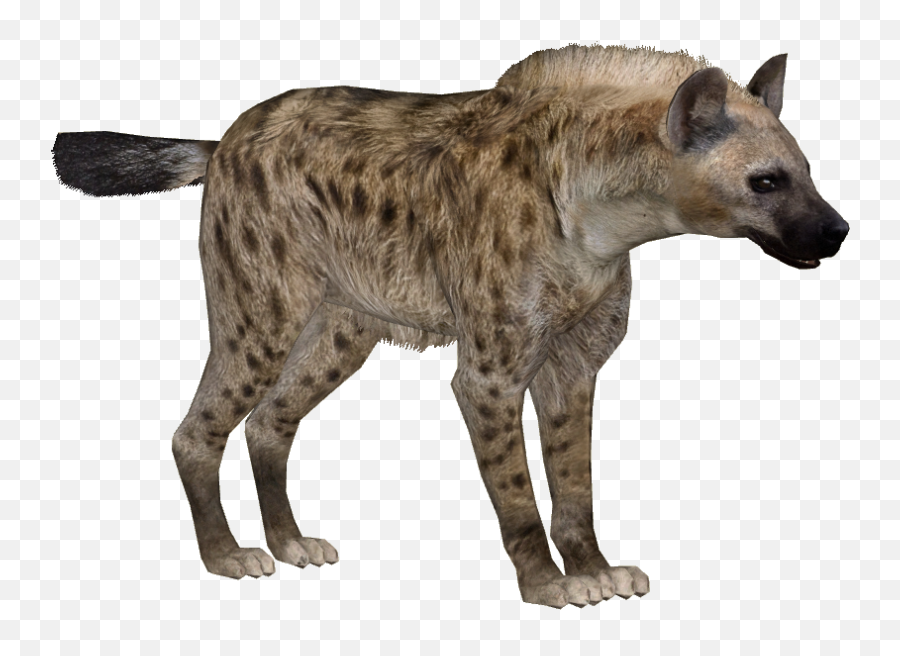Hyena Png - Hyena Emoji,Hyena Png