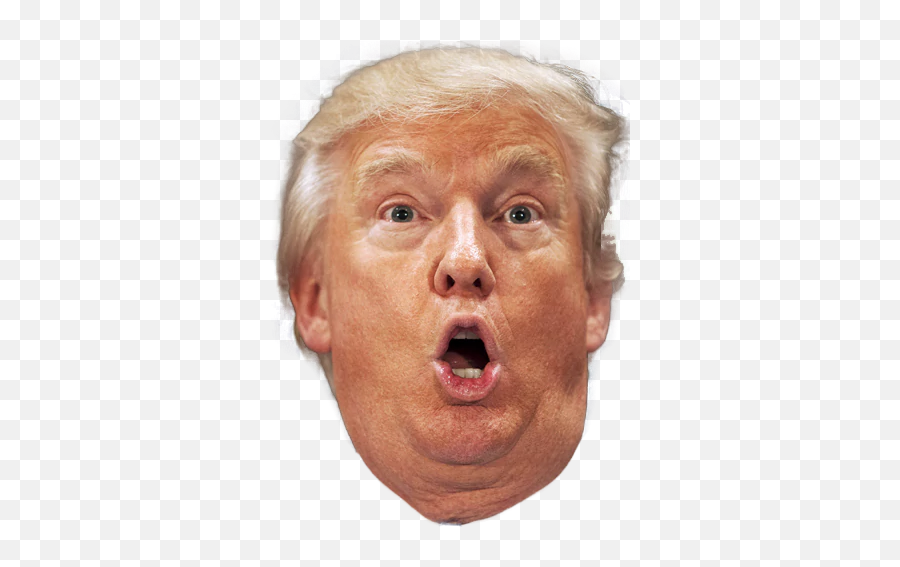 Death To Trump 2020 - Trump Face Transparent Background Png Emoji,Trump Png