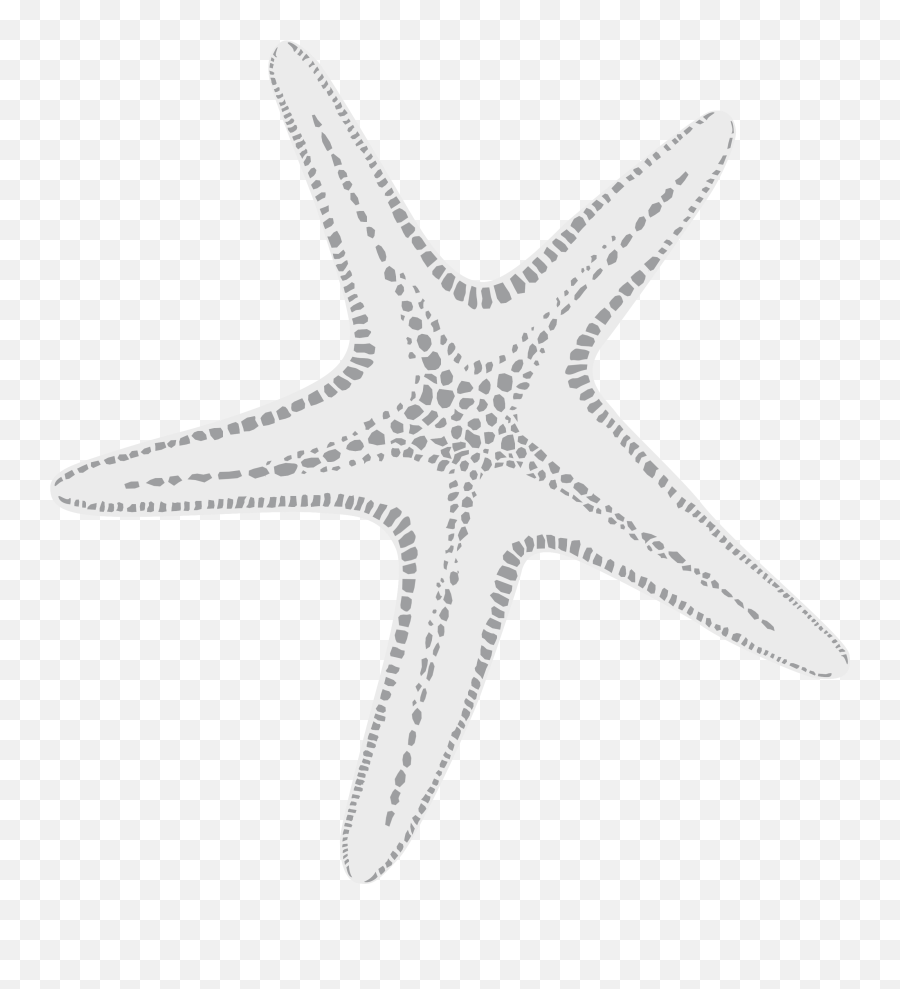 White Starfish Png - New Year Images For Whatsapp Dp Dot Emoji,Starfish Png