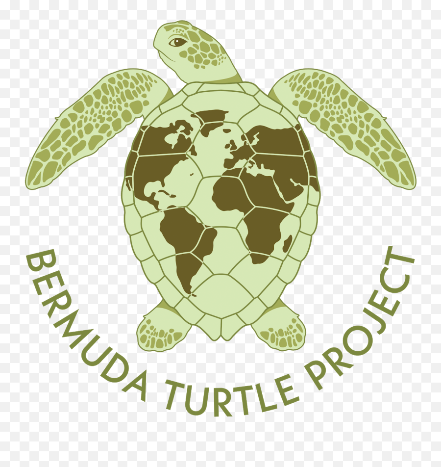 Seaturtleweek - World Map Dark Simple Emoji,Turtle Transparent